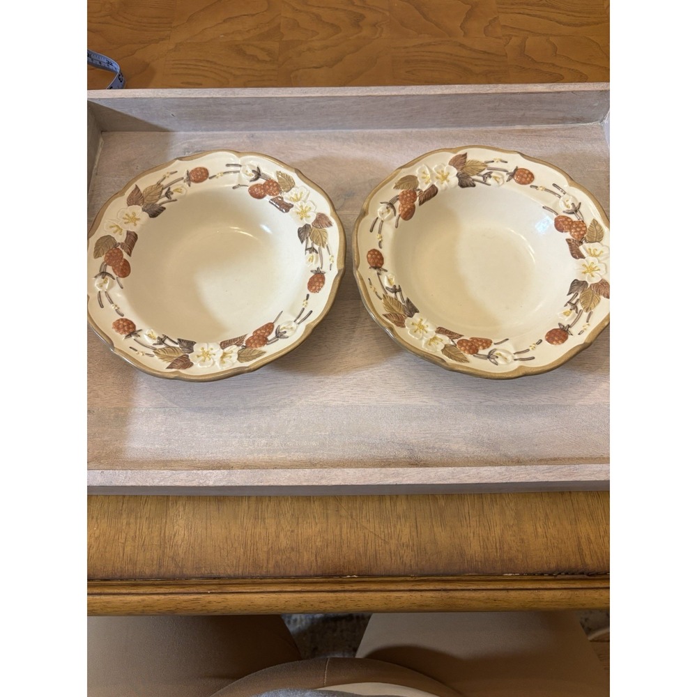 Metlox Poppytrail-AUTUMN BERRY Set Of 2‎ Bowls 8 Inches Wide